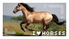 I heart horses