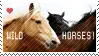 wildhorses