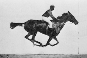 Gallop